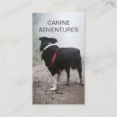 Recherche de soin de chien cartes visite Customer