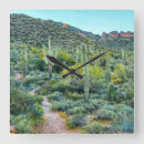 Recherche de cactus saguaro horloges Nature