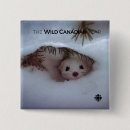 Zoek naar winter buttons Dieren