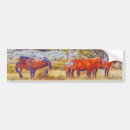 Zoek naar wild paarden bumperstickers Auto