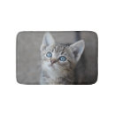 Recherche de de chaton photographie Aucunes personnes