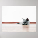 Recherche de scottish posters Portrait
