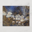 Recherche de champignon magique cartes postales Champignons