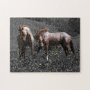 Recherche de étalon puzzles Chevaux