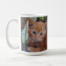 Recherche de ginger tasses Tabby