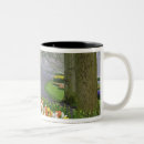 Recherche de jardin tulipe tasses Européen