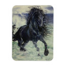 Recherche de étalon noir magnets Frison
