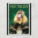 Recherche de forêts tropicales cartes postales Primate