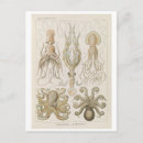 Recherche de poulpe vintage cartes postales Antique
