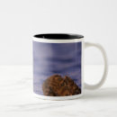Recherche de ireland tasses Nature