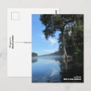 Recherche de cypr Floride