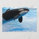 Recherche de aquariums invitations Poissons
