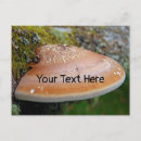 Recherche de support de cartes postales Champignon