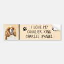 Recherche de cavalier voiture autocollants Roi