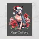 Zoek naar sphynx katten briefkaarten Kerstmis