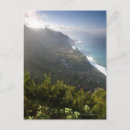 Recherche de madere posters Arbre