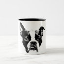 Recherche de bostonterrier Animal