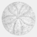 Recherche de dollar photographie Océan