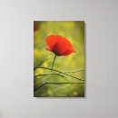 Recherche de pavot impressions sur toile Fleur
