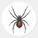 Recherche de araignée rouge et noire autocollants Pour tous