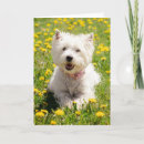 Recherche de westies mignons vœux cartes Chiot