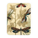 Recherche de libellule magnets Botanique
