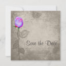 Recherche de vintag save the date Bleu