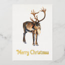 Recherche de caribou noël cartes Vacances