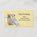 Recherche de toilettage de chien cartes visite Pour animaux