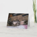 Recherche de presse vœux cartes Enfants