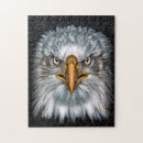 Recherche de aigles puzzles Oiseau