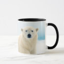 Recherche de verrat tasses Animal