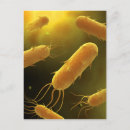 Recherche de microbiologie cartes postales Image couleur