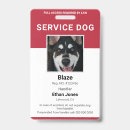 Recherche de de chien bureau fournitures Moderne