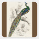 Recherche de gravure autocollants Vintage