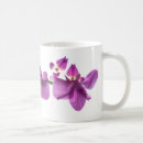 Recherche de orchidée blanche tasses Orchidées