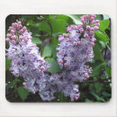 Recherche de fleurs lilas tapis souris Ressort