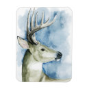Recherche de mâle magnets Cerfs communs
