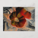 Zoek naar tomato briefkaarten Fotografie