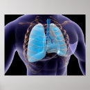 Recherche de poumons humains posters Numériquement image générée