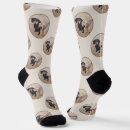 Recherche de dachshund socks Doxie