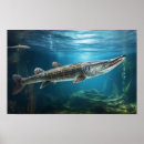 Recherche de alligator posters Nature