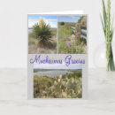 Recherche de gracias remerciements cartes Cactus