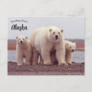Recherche de ourson cartes postales Nature