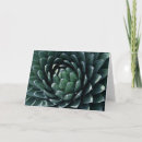 Recherche de agave vœux cartes Plante