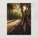 Recherche de rayon de lumière cartes postales Rayons