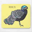 Recherche de faisan tapis souris Oiseau