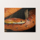 Recherche de serpent de maïs Boa
