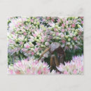 Zoek naar het bidden mantid Natuur