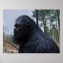 Recherche de cryptids posters Sasquatch